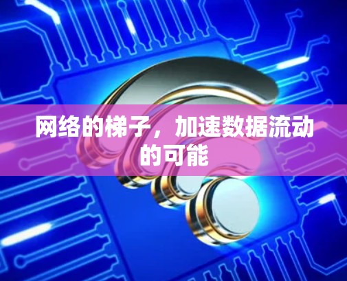 网络的梯子，加速数据流动的可能