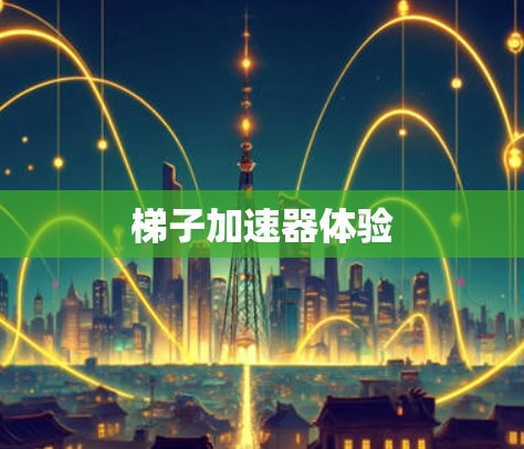 梯子加速器体验