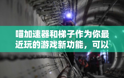 喵加速器和梯子作为你最近玩的游戏新功能，可以按照以下步骤逐步了解和使用它们