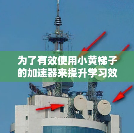 为了有效使用小黄梯子的加速器来提升学习效率，以下是一步步的解决方案