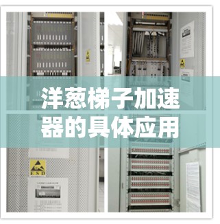 洋葱梯子加速器的具体应用可能包括以下几种