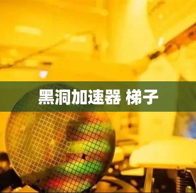 黑洞加速器 梯子
