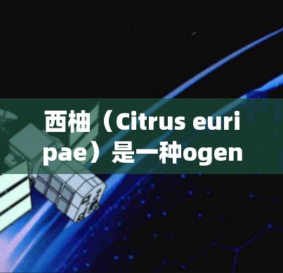 西柚（Citrus euripae）是一种ogenic质植物，具有独特的营养成分和独特的加速效果，因其独特的化学成分和物理特性，能够在特定条件下加速目标的实现。以下是关于西柚梯子加速器的一些信息