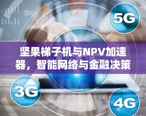 坚果梯子机与NPV加速器，智能网络与金融决策的融合