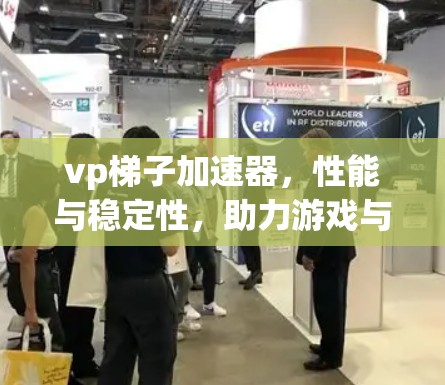 vp梯子加速器，性能与稳定性，助力游戏与视频编辑的高效运行—推荐