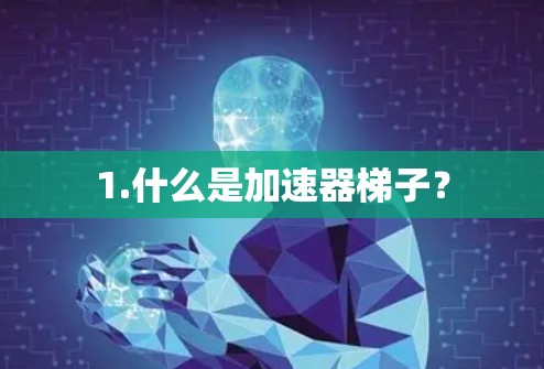 1.什么是加速器梯子？