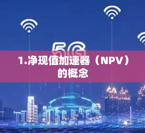 1.净现值加速器（NPV）的概念