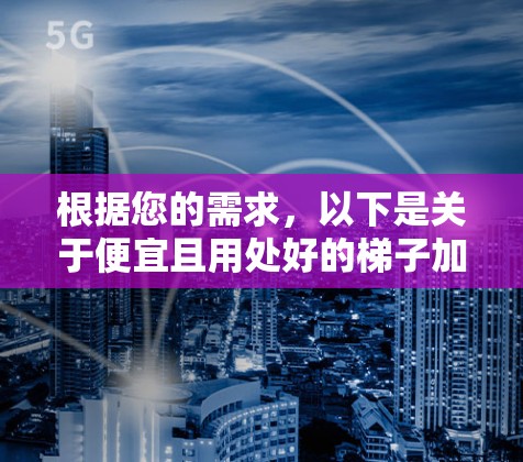 根据您的需求，以下是关于便宜且用处好的梯子加速器的推荐