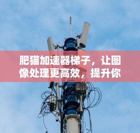 肥猫加速器梯子，让图像处理更高效，提升你的工作效率