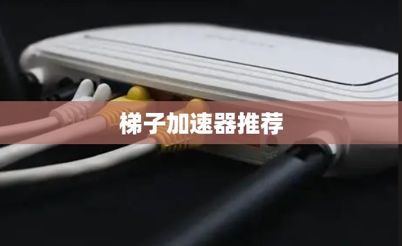 梯子加速器推荐