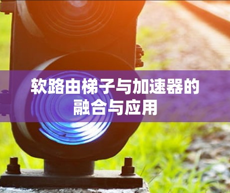 软路由梯子与加速器的融合与应用