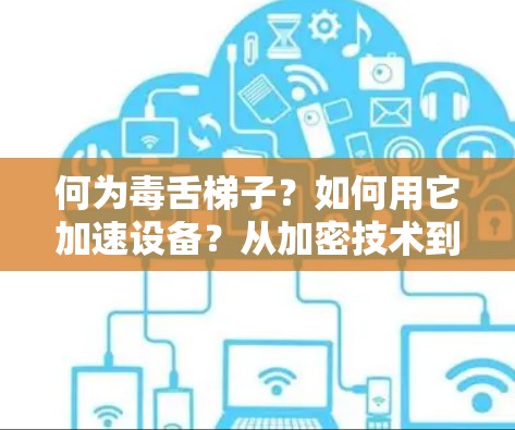 何为毒舌梯子？如何用它加速设备？从加密技术到数据传输优化的全面解决方案