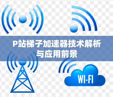 P站梯子加速器技术解析与应用前景
