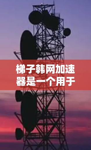 梯子韩网加速器是一个用于加速连接到互联网的旧式梯子机设备的软件，旨在帮助用户更快地访问互联网。以下是其功能、操作步骤、注意事项以及使用建议的详细说明