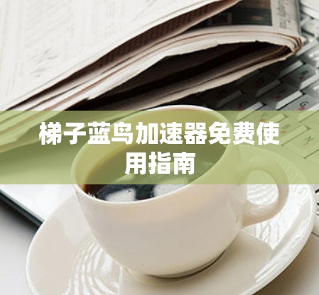 梯子蓝鸟加速器免费使用指南