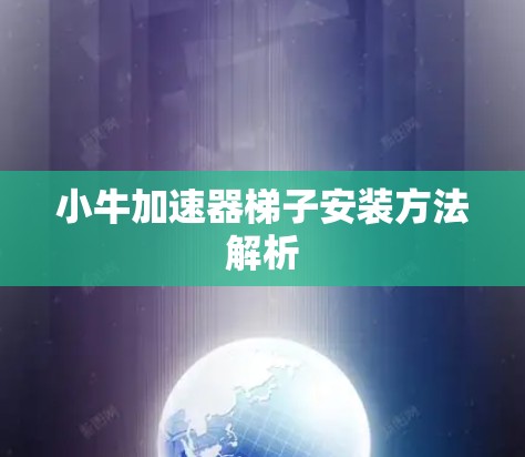 小牛加速器梯子安装方法解析