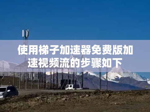 使用梯子加速器免费版加速视频流的步骤如下