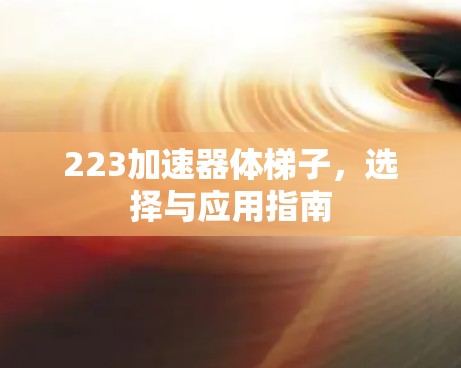 223加速器体梯子，选择与应用指南