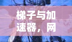 梯子与加速器，网络连接的两难选择