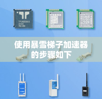 使用暴雪梯子加速器的步骤如下