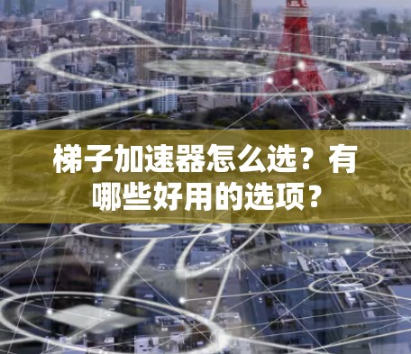 梯子加速器怎么选？有哪些好用的选项？