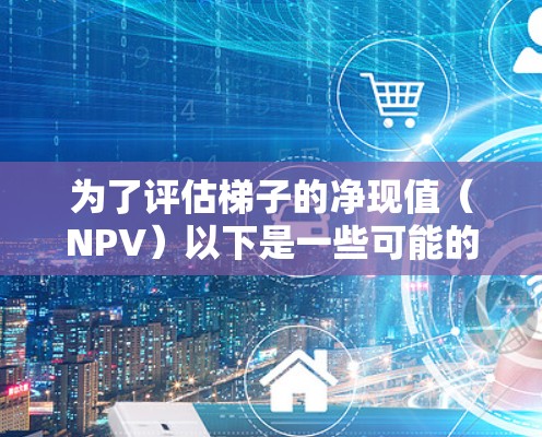 为了评估梯子的净现值（NPV）以下是一些可能的步骤和资源