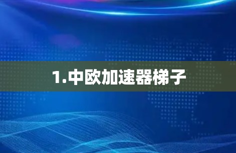 1.中欧加速器梯子