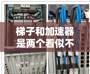 梯子和加速器是两个看似不同的概念，但在结构和用途上有显著差异。以下是它们的区别和比较