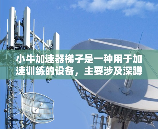 小牛加速器梯子是一种用于加速训练的设备，主要涉及深蹲等运动。以下是使用小牛加速器梯子的详细步骤和注意事项