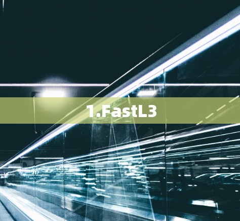 1.FastL3