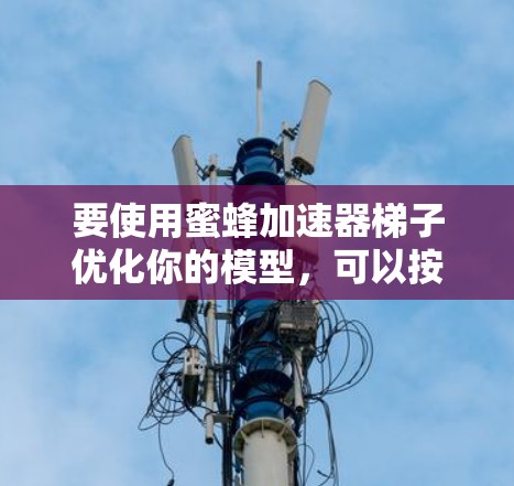 要使用蜜蜂加速器梯子优化你的模型，可以按照以下步骤进行