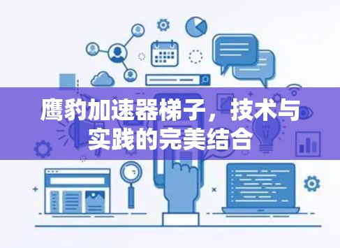鹰豹加速器梯子，技术与实践的完美结合