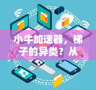 小牛加速器，梯子的异类？从结构到功能的重塑