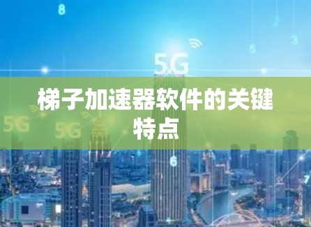 梯子加速器软件的关键特点