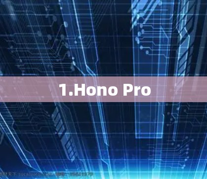 1.Hono Pro