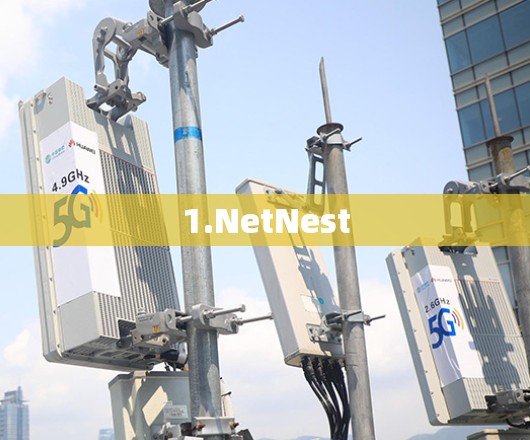 1.NetNest