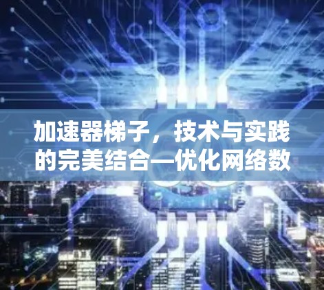 加速器梯子，技术与实践的完美结合—优化网络数据传输的解决方案