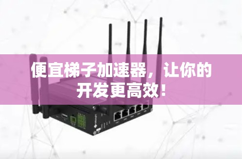 便宜梯子加速器，让你的开发更高效！