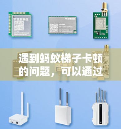 遇到蚂蚁梯子卡顿的问题，可以通过以下步骤进行排查和解决问题