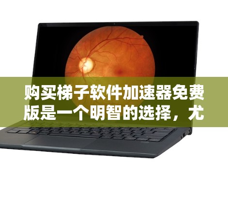 购买梯子软件加速器免费版是一个明智的选择，尤其是在需要快速下载文件或视频时。以下是一些详细的步骤和建议，帮助您高效使用这个工具