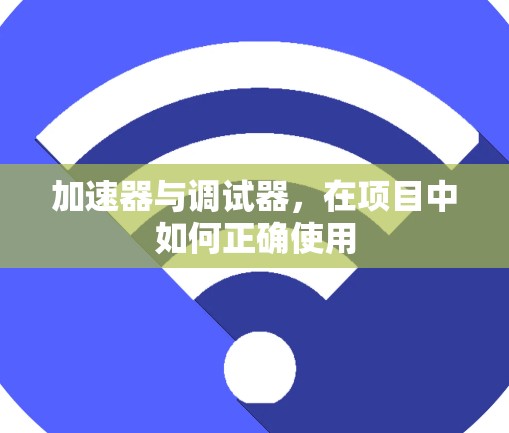 加速器与调试器，在项目中如何正确使用