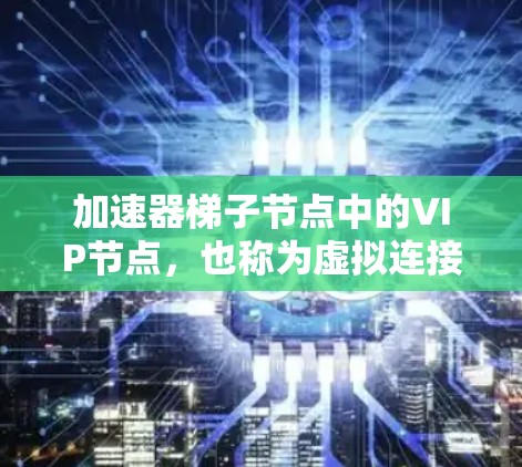 加速器梯子节点中的VIP节点，也称为虚拟连接的加速器节点，主要用于多节点计算环境中，特别是在云计算架构中，管理加速器之间的动态通信和数据同步