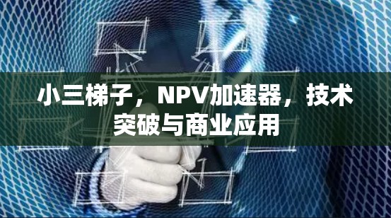 小三梯子，NPV加速器，技术突破与商业应用