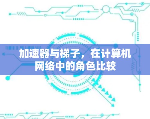 加速器与梯子，在计算机网络中的角色比较