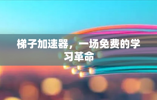梯子加速器，一场免费的学习革命