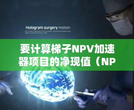 要计算梯子NPV加速器项目的净现值（NPV）可以按照以下步骤进行