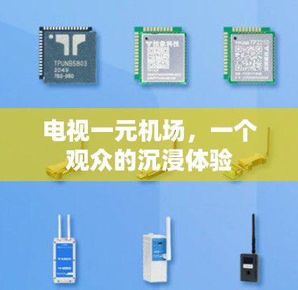 电视一元机场，一个观众的沉浸体验