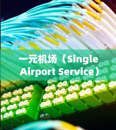 一元机场（Single Airport Service）是苹果公司为所有旅客提供的一站式服务，可以在一个地点办理登机、安检、行李检查等。以下是关于苹果的一元机场服务的详细介绍