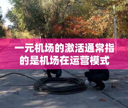 一元机场的激活通常指的是机场在运营模式、基础设施、服务等方面的新变化或项目启动。以下是一些可能的方面，供你进一步了解