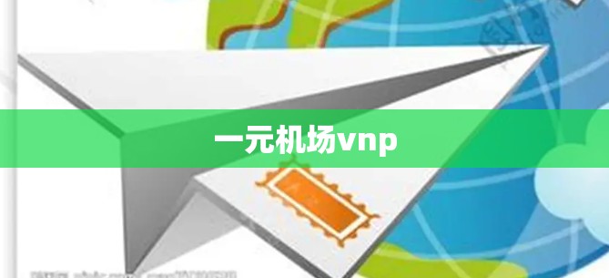 一元机场vnp